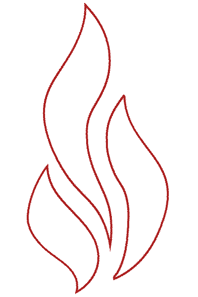 FireGold - Bc. Eliška Nováková